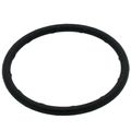 Product Image of 2" Leak Detect EPDM O-Ring