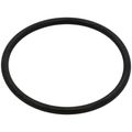 Product Image of 2-1/2" Leak Detect EPDM O-Ring