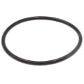 Product Image of 3" Leak Detect EPDM O-Ring
