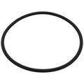 Product Image of 4" Leak Detect EPDM O-Ring