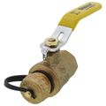 Product Image of 3/4" Female x Hose Full Port Ball Valve (Lead Free)