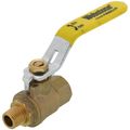 Product Image of 1/4" MIP x FIP Full Port Forged Brass Ball Valve (Lead Free)