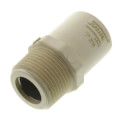 Product Image of 1/2" CTS CPVC Male Adapter (Brass MIPT x Socket)