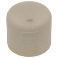 Product Image of 1" CTS CPVC Cap (Socket)
