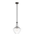 Product Image of Everly 15.25" 1 Light Bell Pendant Clear Glass (Olde Bronze)