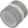 Product Image of 1-1/2" PVC Sch. Spec. Reinforced 40 Coupling (FIPT)