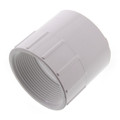 2" PVC Schedule 40 Female Adapter