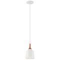 Product Image of Danika 9.25" 1 Light Mini Pendant w/ White finish and Wood Accents