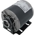 Product Image of Carbonator Pump Motor - 1/3 HP, 1725 RPM, 1 PH (115V)