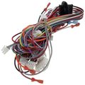 Product Image of Wiring Harness Assembly (Twist-Lock), 45-104202-01