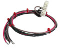 Product Image of Wiring Harness, 45-24258-03