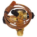 Product Image of Expansion Valve, 46101099