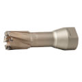 Product Image of 7/8" Threaded Steel Hawg Cutter