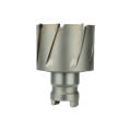 Product Image of 7/8" Quick Change Tang Drive Steel Hawg Cutter