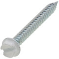 Product Image of 8 x 1-1/2 Taper Point Sheet Metal Screws with White Heads (Pack of 250)