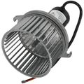 Product Image of 12 VSDC Motor