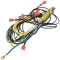 Product Image of Standing Pilot Wiring Harness for CG, CGA Boilers, 591-391-862