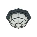 Product Image of 1 Light 12" Ceiling Spider Cage Fixture Die Cast Glass Lens Color retail packaging