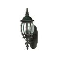Product Image of Central Park 1 Light 20" Wall Lantern w/ Clear Beveled Glass Color retail packaging