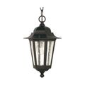 Product Image of Cornerstone 1 Light 13" Hanging Lantern w/ Clear Seed Glass Color retail packaging