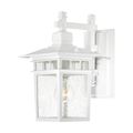Product Image of Cove Neck 1 Light 12" Outdoor Lantern w/ Clear Seed Glass Color retail packaging