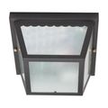 Product Image of 2 Light 10" Carport Flush Mount w/ Textured Frosted Glass