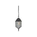 Product Image of Adams 1 Light 16" Outdoor Hanging w/ Frosted Glass