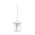 Product Image of Cove Neck 1 Light 12" Outdoor Hang w/ Clear Seed Glass