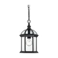 Product Image of Boxwood 1 Light 14" Outdoor Hanging w/ Clear Beveled Glass