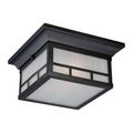 Product Image of Drexel 2 light Outdoor Flush Fixture w/ Frosted Seed Glass