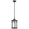 Product Image of Raiden Collection Outdoor 14.5 inch Hanging Light Matte Black Finish w/ Clear Seedy Glass