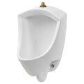 Product Image of Pintbrook 0.125 - 0.5 gpf (0.47 - 1.9 Lpf) Top Spud Urinal