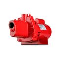Product Image of RJS-50-PREM 1/2 HP, 12 GPM, 115/230V, Premium Cast Iron Shallow Well Jet Pump (Red)