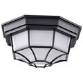 Product Image of LED Spider Cage Fixture Black Finish w/ Frosted Glass