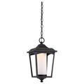 Product Image of Essex Hanging Lantern Sterling Black Finish