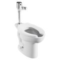 Product Image of Ultima Selectronic Exposed Toilet Flush Valve, Diaphragm Type, Battery, 1.6 gpf/6.0 Lpf (Chrome)
