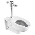 Product Image of Ultima Selectronic Exposed Toilet Flush Valve, Diaphragm Type, Base Model, 1.6 gpf/6.0 Lpf (Chrome)