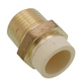 1/2" CPVC x MIP Brass Straight Adapter (Lead Free)