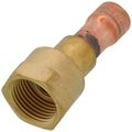 Product Image of NPT to Sweat Fitting, 664194R