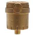 Product Image of #675 1/8" NPT Auto Vent