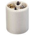 Product Image of Lampholder, Incandescent, Medium Base, One Piece, Keyless, Glazed Porcelain, Mounting Screws, Single Circuit, Back Wired, Spring Center Contact