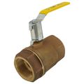 Product Image of 2-1/2" FNPT 2-Piece Ball Valve w/ Stainless Steel Ball & 2-1/4" Stem