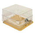 Product Image of Clear Plastic Thermostat Guard BTG-K