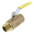 Product Image of 1" FNPT x MNPT 2 Piece Standard Ball Valve