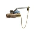 Product Image of 1" FNPT x Hose Bronze 2 Piece Ball Valve w/ Hose Thread w/ Cap & Chain, 70LF105HC