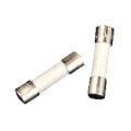 Product Image of Fuse, 0.1A/250V (Set of 5), 7837269