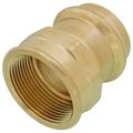 Product Image of 1-1/2" Press X 1-1/2" Female ProPress Adapter, Zero Lead