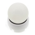 Product Image of Backwater Device for 2" FIP Threads