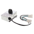 Model 80L Variable Speed Control, 120V