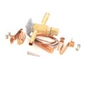 Product Image of Valve Expansion Ebfse-aazp, Inlet Strain, 813302
